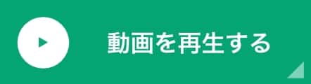 動画を再生する